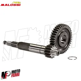 Ingranaggi Primari Malossi HTQ z 16/37 Piaggio ZIP Vespa ET2 LX Primavera 50 2T 2