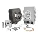 Kit Cilindro Malossi Gruppo Termico Dm 46.5 / 75cc SP 12 Piaggio SI Bravo Boss