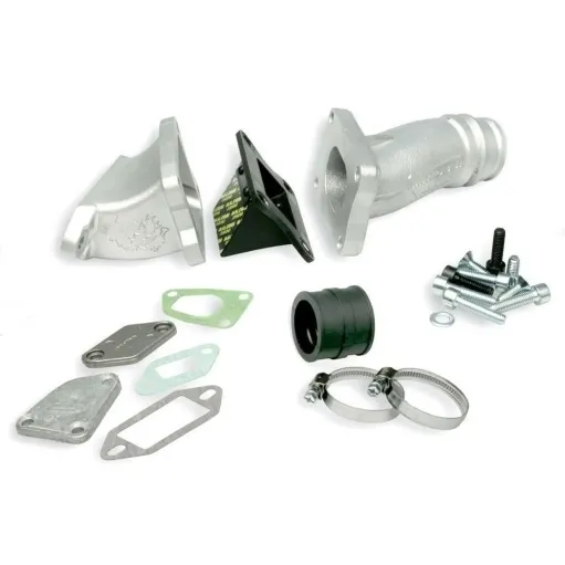 KIT COLLETTORE LAMELLARE al cilindro VHST 28 MALOSSI VESPA 125 ET3 Primavera