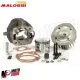 Kit gruppo termico cilindro 55 MALOSSI modifica 102cc Vespa 50 Special R L N PK