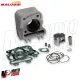 KIT GRUPPO TERMICO CILINDRO MALOSSI 80cc VESPA ET4 S LX PRIMAVERA LIBERTY 50 4T