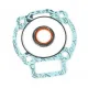 KIT GUARNIZIONI CILINDRO MALOSSI 65 - 172 CC PIAGGIO 125 180 2T HEXAGON RUNNER