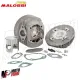 MF2002 Kit Cilindro MALOSSI 130 DM 57,5 MHR VESPA 50 Special R L N in Alluminio