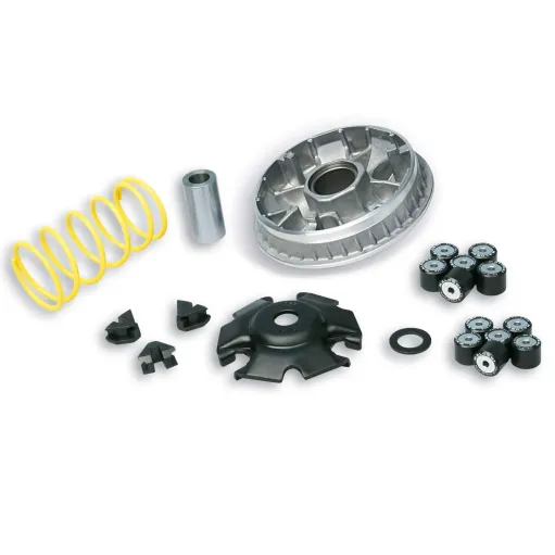 Kit variatore Malossi Multivar 2000 per Yamaha Majesty Xmax Xcity 125