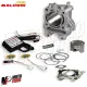 MF0068 Cilindro + Centralina Malossi DM 61 Alluminio Honda 125 SH 2013 - 2019