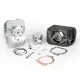 MF0109 CILINDRO MALOSSI MODIFICA 75 SP 10 DM 46.5 PIAGGIO CIAO SI BRAVO GRILLO