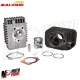 MF0993 KIT GRUPPO TERMICO CILINDRO MALOSSI GHISA 70CC PER PIAGGIO SI 50 SP10