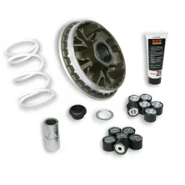 MF1018 Variatore Malossi Multivar 2000 Honda SH 300 I da 2007 a 2020