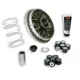 MF1018 Variatore Malossi Multivar 2000 Honda SH 300 I da 2007 a 2020