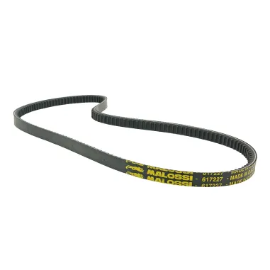 MF1134 Cinghia Malossi Special Rinfozata Piaggio Ciao P PX SC con Variatore