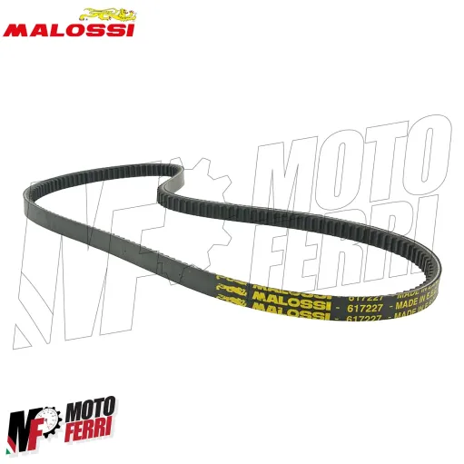 MF1134 Cinghia Malossi Special Rinfozata Piaggio Ciao P PX SC con Variatore