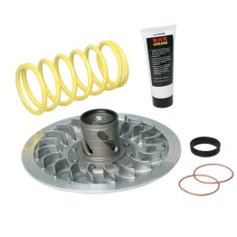 MF1444 CORRETTORE DI COPPIA MALOSSI TMAX 500 YAMAHA da 2001 a 2011 TORQUE DRIVER