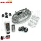 MF1459 Variatore Malossi Multivar 2000 per Piaggio Beverly / MP3 / X10 350cc