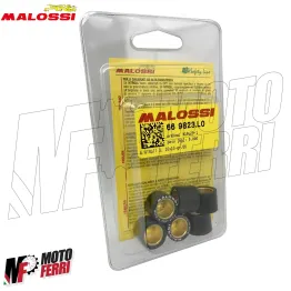 MF1628 Rulli Massette Variatore Malossi 16X13 Grammi 6 per Scooter 50 cc 2