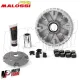 MF1686 Variatore Malossi Multivar 2000 per Yamaha XMax 300 da 2017 a 2026