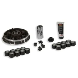 MF1688 Variatore Malossi Multivar 2000 MHR BMW C SPORT GT 650 dal 2016 al 2021