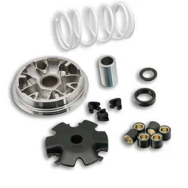 MF1693 VARIATORE MALOSSI MULTIVAR KYMCO AGILITY R10 R12 R16 VITALITY SUPER8 4T