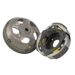 MF1836 Frizione e Campana Maxi Delta Malossi Forza 250 300 / Forza X 250