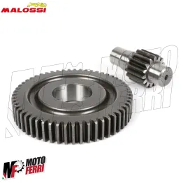 MF1868 Ingranaggi Malossi HTQ Z 15/55 Liberty Primavera Sprint 50 fino al 2020 2