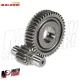 MF1871 Ingranaggi Secondari Malossi HTQ 14 / 43 Gilera Runner FXR SP 180 2T LC