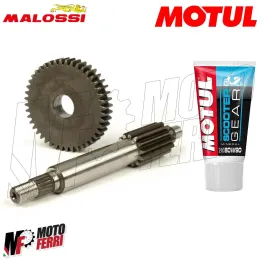 MF2163 Ingranaggi Primari Malossi HTQ 13 / 44 F12 Phantom F15 Firefox + Olio 2