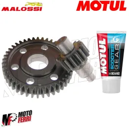 MF2164 Ingranaggi Secondari 15 / 42 Malossi + Olio F12 F15 Aerox Nitro SR Neos 2