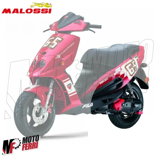 MF2165 - Ingranaggi Primari 13/44 Malossi + Olio per F12 Digit Carter Ventilato