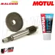 MF2165 - Ingranaggi Primari 13/44 Malossi + Olio per F12 Digit Carter Ventilato