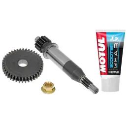 MF2167 - Ingranaggi Primari 15/40 Malossi + Olio Motul SR Scarabeo Ditech Katana