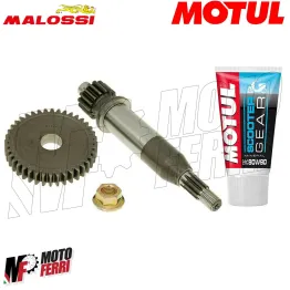 MF2167 - Ingranaggi Primari 15/40 Malossi + Olio Motul SR Scarabeo Ditech Katana 2