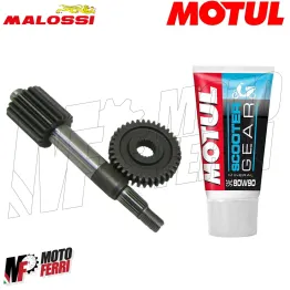 MF2168 - Ingranaggi Primari 19 / 37 Malossi + Olio Motul Honda SFX SXR 50 2T 2