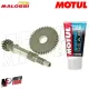MF2171 Ingranaggi Primari 15 / 44 Malossi + Olio Motul Kymco Dink Top Boy 50