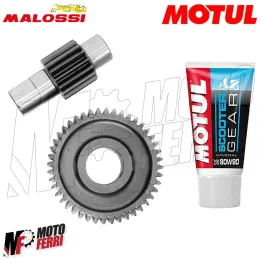 MF2172 Ingranaggi Secondari 14/35 Malossi + Olio 80W90 Elyseo Speedfight 100 2T 2