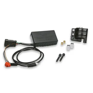 MF2243 - Centralina Bobina Elettronica Malossi TC Unit Minarelli F12 Digit R LC