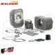 MF2279 Cilindro Malossi Dm 47 BIG DEPS 4 MHR Piaggio Ciao Si Boss Bravo Alluminio