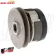 MF2611 Kit Puleggia Frizione Malossi Fly Clutch Si Bravo Ciao Boxer Variatore