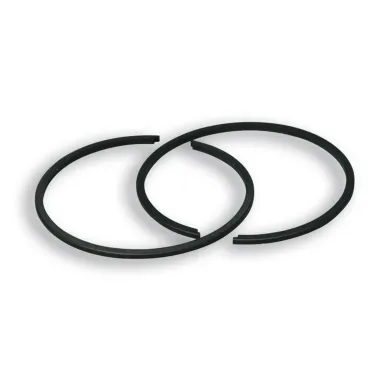 MF2675 Serie 2 Segmenti Malossi Dm 46.5 X 1.5 per Kit Cilindro Si Ciao Bravo