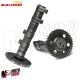 MF2705 Albero a Camme Double Power Cam MHR Malossi Yamaha TMax 560 2020 - 2025