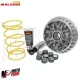 MF2890 VARIATORE MALOSSI MULTIVAR SUZUKI BURGMAN 400 K7 K8 K9 2007 2008 2009