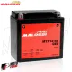 MF3259 Batteria Gel Malossi YTX14-BS BMW R 1200 GS R RT ST dal 2005 al 2012