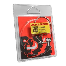 MF3568 Segmenti fasce Pistone 43 x 1.5 Malossi per Cilindro Ciao Si Bravo Grillo