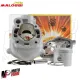 MF3727 Kit Cilindro Malossi MHR Replica 77cc Dm 50 per AM345 AM6 TZR DT HM RS
