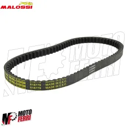 MF3953 Cinghia X K Belt Malossi Malaguti F12 / Ciak 100cc 2T Mot Franco Morini 2