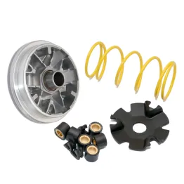 MF3954 Variatore Multivar Malossi Malaguti F12 / Ciak 100cc 2T Mot Franco Morini