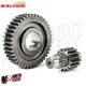 MF4001 Ingranaggi Secondari Malossi HTQ Piaggio Medley Vespa GTS Super 125 150