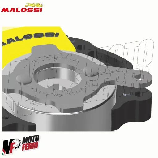 MF4005 Chiave Ignition Timing Key Malossi Regolazione Accensione Selettra MHR