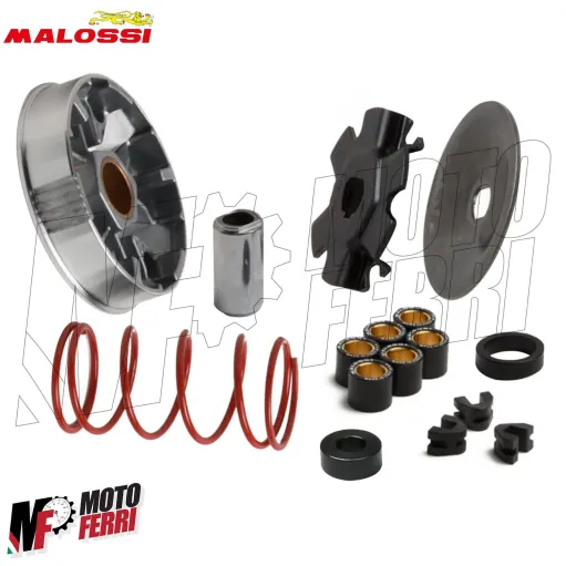 MF4006 Variatore Malossi per Trasmissione Over Range Piaggio Si Ciao Grillo