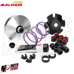 MF4011 - Variatore Malossi per Trasmissione Over Range Piaggio NRG Zip Runner 50 2