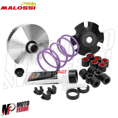MF4011 - Variatore Malossi per Trasmissione Over Range Piaggio NRG Zip Runner 50
