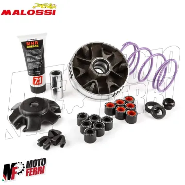 MF4011 - Variatore Malossi per Trasmissione Over Range Piaggio NRG Zip Runner 50